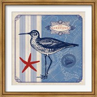 Sea Bird II Fine Art Print