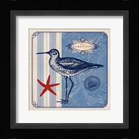 Sea Bird II Fine Art Print