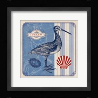 Sea Bird III Fine Art Print