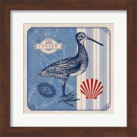 Sea Bird III Fine Art Print