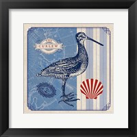 Sea Bird III Fine Art Print