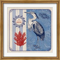 Sea Bird IV Fine Art Print