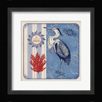 Sea Bird IV Fine Art Print