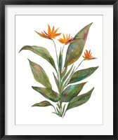 Bright Bromeliad Fine Art Print
