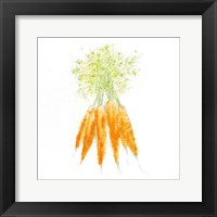 Garden Delight VIII Framed Print