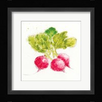 Garden Delight X Framed Print