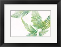 Ferns I Square Fine Art Print