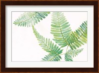 Ferns I Square Fine Art Print