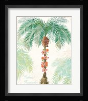 Flamingo Tropicale III Fine Art Print