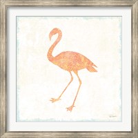 Flamingo Tropicale VI Fine Art Print