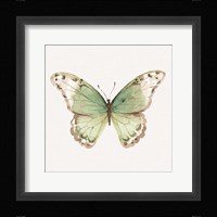 Colorful Breeze XII Framed Print