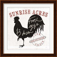 Farm Linen Rooster Black Fine Art Print