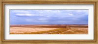 Endless Wheat Fields, Montana Fine Art Print
