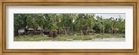 Houses on the Bank of the Sepik River, Papua New Guinea Fine Art Print
