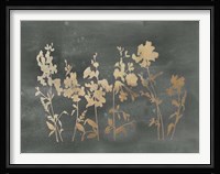 Gold Foil Flower Field on Black - Metallic Foil Fine Art Print