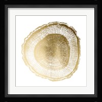 Gold Foil Tree Ring I - Metallic Foil Fine Art Print