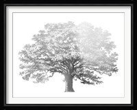 Silver Foil Elephant Tree - Metallic Foil Fine Art Print
