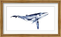 Whale Portrait I Fine Art Print