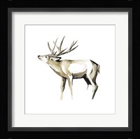 Watercolor Woodland I Framed Print