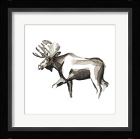 Watercolor Woodland III Framed Print