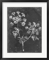 Slate Floral I Framed Print