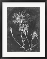 Slate Floral III Framed Print