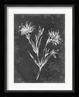 Slate Floral IV Framed Print