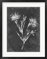 Slate Floral IV Fine Art Print
