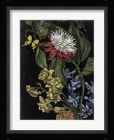 Dark Floral III Framed Print