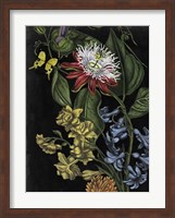 Dark Floral III Fine Art Print