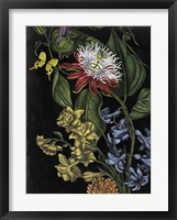 Dark Floral III Framed Print