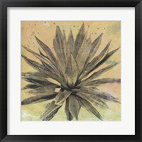 Desert Dreams I Framed Print