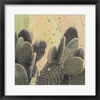 Desert Dreams II Framed Print