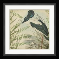 Heron & Ferns I Fine Art Print