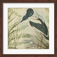 Heron & Ferns I Fine Art Print