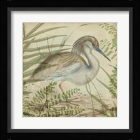 Heron & Ferns II Fine Art Print