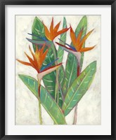 Paradise Vacation II Fine Art Print