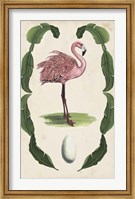 Antiquarian Menagerie - Flamingo I Fine Art Print