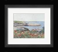 Poppies, Isles of Shoals, 1891 Fine Art Print