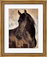 TBD (black horse) Fine Art Print