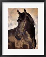 TBD (black horse) Fine Art Print