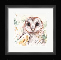 Australian Barn Owl Fine Art Print