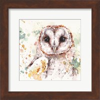 Australian Barn Owl Fine Art Print
