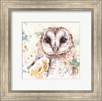 Australian Barn Owl Fine Art Print