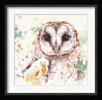 Australian Barn Owl Fine Art Print