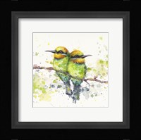Family (Rainbow Bee Eaters) Fine Art Print