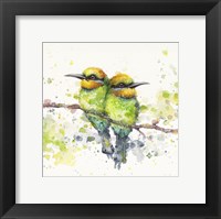 Family (Rainbow Bee Eaters) Fine Art Print