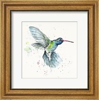 Hummingbird Flurry Fine Art Print