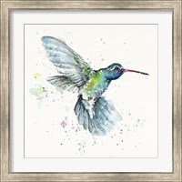 Hummingbird Flurry Fine Art Print