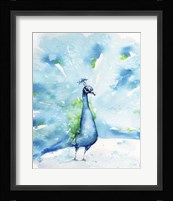 Peacocking Around Fine Art Print